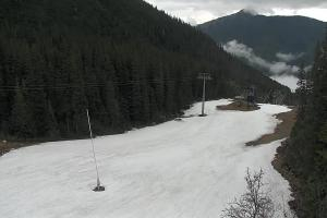 Zverovka Tatrawest s.r.o. Livecam
