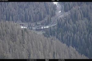 San Martino di Castrozza - Passo Rolle San Martino di Castrozza - Passo Rolle Ces - Malga Valcigolera