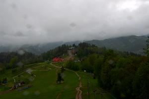 Szczawnica Palenica Szafranówka