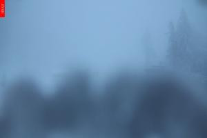 Kamera: Černý Důl Černý Důl Černý Důl Černý Důl Černý Důl