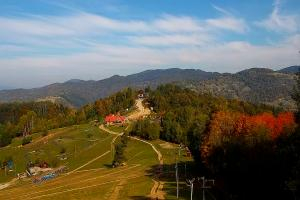 Szczawnica Palenica Szafranówka