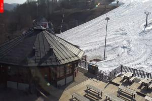 Mladé Buky Mladé Buky Kamera Mladé Buky, 600 m n.p.m.