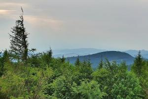 Kamera: Jaworzyna Krynicka Widok na szczyt Jaworzyny (1114 m n.p.m) Krynica Jaworzyna Krynicka Widok na szczyt Jaworzyny (1114 m n.p.m)