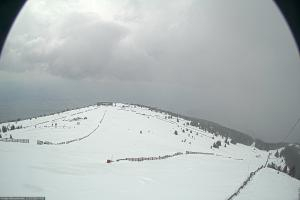 Kamera: Koralpe Steinschneider Koralpe Koralpe Steinschneider