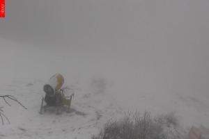 Kamera: Černá hora (Czarna Góra) Hofmanky, 1050 m n.p.m. Černá hora Černá hora (Czarna Góra) Hofmanky, 1050 m n.p.m.