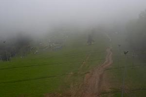 Szczawnica Palenica Szafranówka