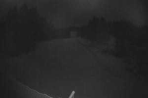 Kamera: Tylicz Ski Widok na stok Tylicz Tylicz Ski Widok na stok