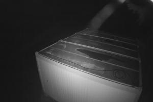 Myślenice Myślenice SN Widok na parking