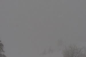 Kamera: Jasna - Chopok Predné Dereše - 1.646 m n. m. Jasna Jasna - Chopok Predné Dereše - 1.646 m n. m.