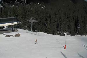 Zverovka Tatrawest s.r.o. Livecam