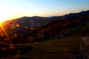 Szczawnica Palenica Szafranówka