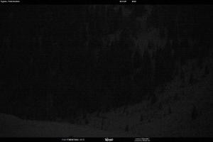 S. Martino di Castrozza / Passo Rolle S. Martino di Castrozza / Passo Rolle Tognola - Pista Scandola