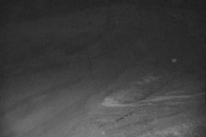 Kamera: Jasna - Chopok Luková - 1.670 m n.m. Jasna Jasna - Chopok Luková - 1.670 m n.m.