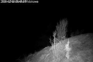 Kamera: Arena narciarska Jaworki - Homole Widok na stok Jaworki Arena narciarska Jaworki - Homole Widok na stok