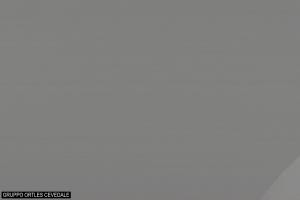 Kamera: Folgarida Marilleva Ortler Alps Folgarida Marilleva Folgarida Marilleva Ortler Alps