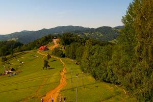 Kamera: Palenica Szafranówka Szczawnica Palenica Szafranówka