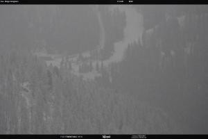 Kamera: San Martino di Castrozza - Passo Rolle Ces - Malga Valcigolera San Martino di Castrozza - Passo Rolle San Martino di Castrozza - Passo Rolle Ces - Malga Valcigolera