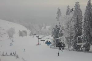 Kamera: Zieleniec Zieleniec SKI Arena - Mieszko Zieleniec Zieleniec Zieleniec SKI Arena - Mieszko