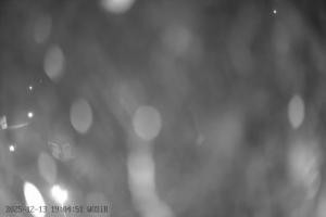 Kamera: Szelment WOSiR Wyciąg Szelment Szelment WOSiR Wyciąg