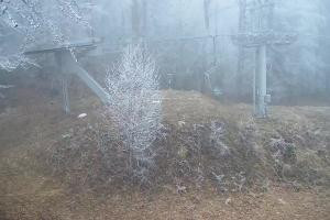 Gorlice-Małastów Magura Małastowska Widok na stok