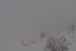 Kamera: Jasna - Chopok Predné Dereše - 1.646 m n. m. Jasna Jasna - Chopok Predné Dereše - 1.646 m n. m.