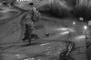 Kamera: Palenica Szafranówka Szczawnica Palenica Szafranówka