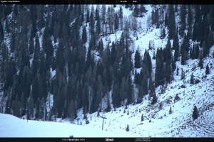 S. Martino di Castrozza / Passo Rolle S. Martino di Castrozza / Passo Rolle Tognola - Pista Scandola