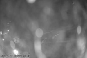 Kamera: Szelment WOSiR Wyciąg Szelment Szelment WOSiR Wyciąg