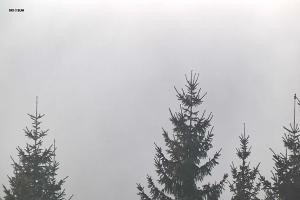 Kamera: Ski&Sun Ski & Sun - Świeradów - widok na bar Świeradów Zdrój Ski&Sun Ski & Sun - Świeradów - widok na bar