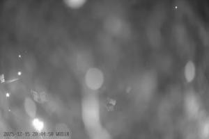 Kamera: Szelment WOSiR Wyciąg Szelment Szelment WOSiR Wyciąg