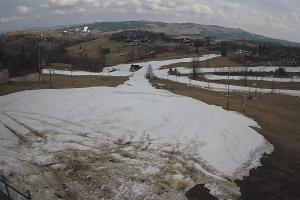 Kamera: Zwyrtlik Widok na stok Bukowina Tatrzańska Zwyrtlik Widok na stok