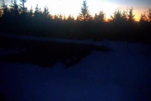 Szczyrk Szczyrk Mountain Resort Zbójnicka Kopa – 1205 m n.p.m.