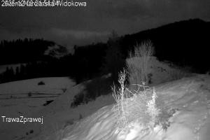 Kamera: Arena narciarska Jaworki - Homole Widok na stok Jaworki Arena narciarska Jaworki - Homole Widok na stok