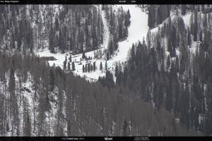 San Martino di Castrozza - Passo Rolle San Martino di Castrozza - Passo Rolle Ces - Malga Valcigolera