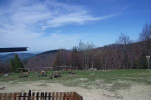 Zawoja - Mosorny Groń Zawoja Ski Widok na stok