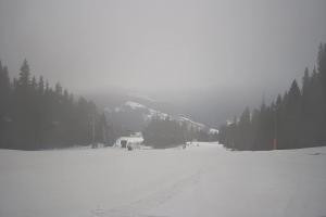 Kamera: Dwie Doliny Wierchomla - górna stacja Wierchomla-Muszyna Dwie Doliny Wierchomla - górna stacja