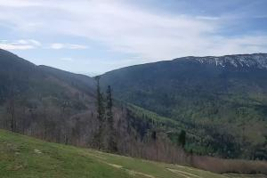 Zawoja - Mosorny Groń Zawoja Ski Widok na stok