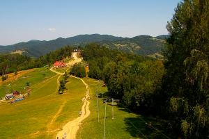 Kamera: Palenica Szafranówka Szczawnica Palenica Szafranówka