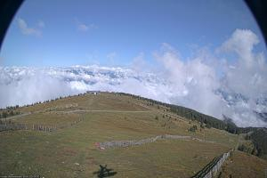 Kamera: Koralpe Steinschneider Koralpe Koralpe Steinschneider