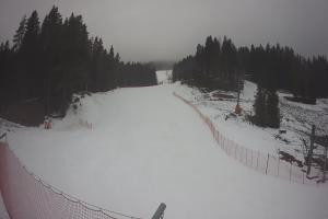 Kamera: Tylicz Ski Widok na stok Tylicz Tylicz Ski Widok na stok