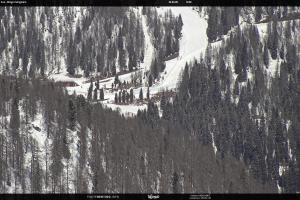 San Martino di Castrozza - Passo Rolle San Martino di Castrozza - Passo Rolle Ces - Malga Valcigolera