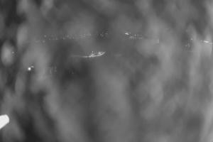 Kamera: Ufo-Ski Ufo-Ski Bukowina Tatrzańska Ufo-Ski Ufo-Ski