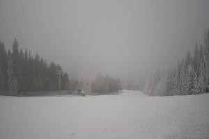 Kamera: Dwie Doliny Wierchomla - górna stacja Wierchomla-Muszyna Dwie Doliny Wierchomla - górna stacja