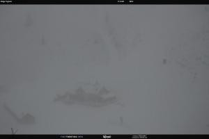 San Martino di Castrozza - Passo Rolle San Martino di Castrozza - Passo Rolle Malga Tognola