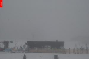 Kamera: Malá Úpa Kamera Pomezky, 1 050 m n.p.m. Malá Úpa Malá Úpa Kamera Pomezky, 1 050 m n.p.m.