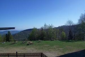 Zawoja - Mosorny Groń Zawoja Ski Widok na stok
