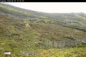 Cairgorm Cairgorm Zigzags Webcam