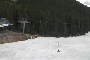 Zverovka Tatrawest s.r.o. Livecam