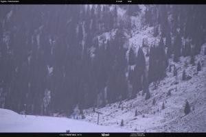 Kamera: S. Martino di Castrozza / Passo Rolle Tognola - Pista Scandola S. Martino di Castrozza / Passo Rolle S. Martino di Castrozza / Passo Rolle Tognola - Pista Scandola