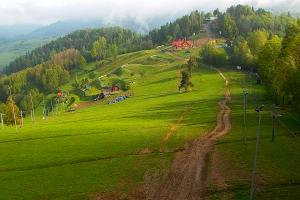 Szczawnica Palenica Szafranówka